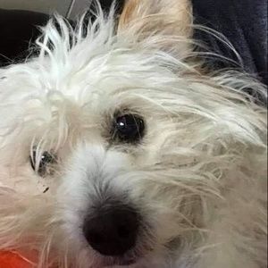 Meet your Posher, Raymond